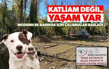 KATLİAM DEĞİL, YAŞAM VAR